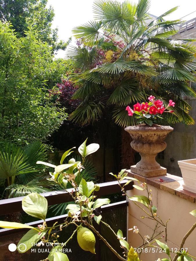 Appartement Charmant A Alfortville 30M² Terrasse Et Jardin Exteriör bild